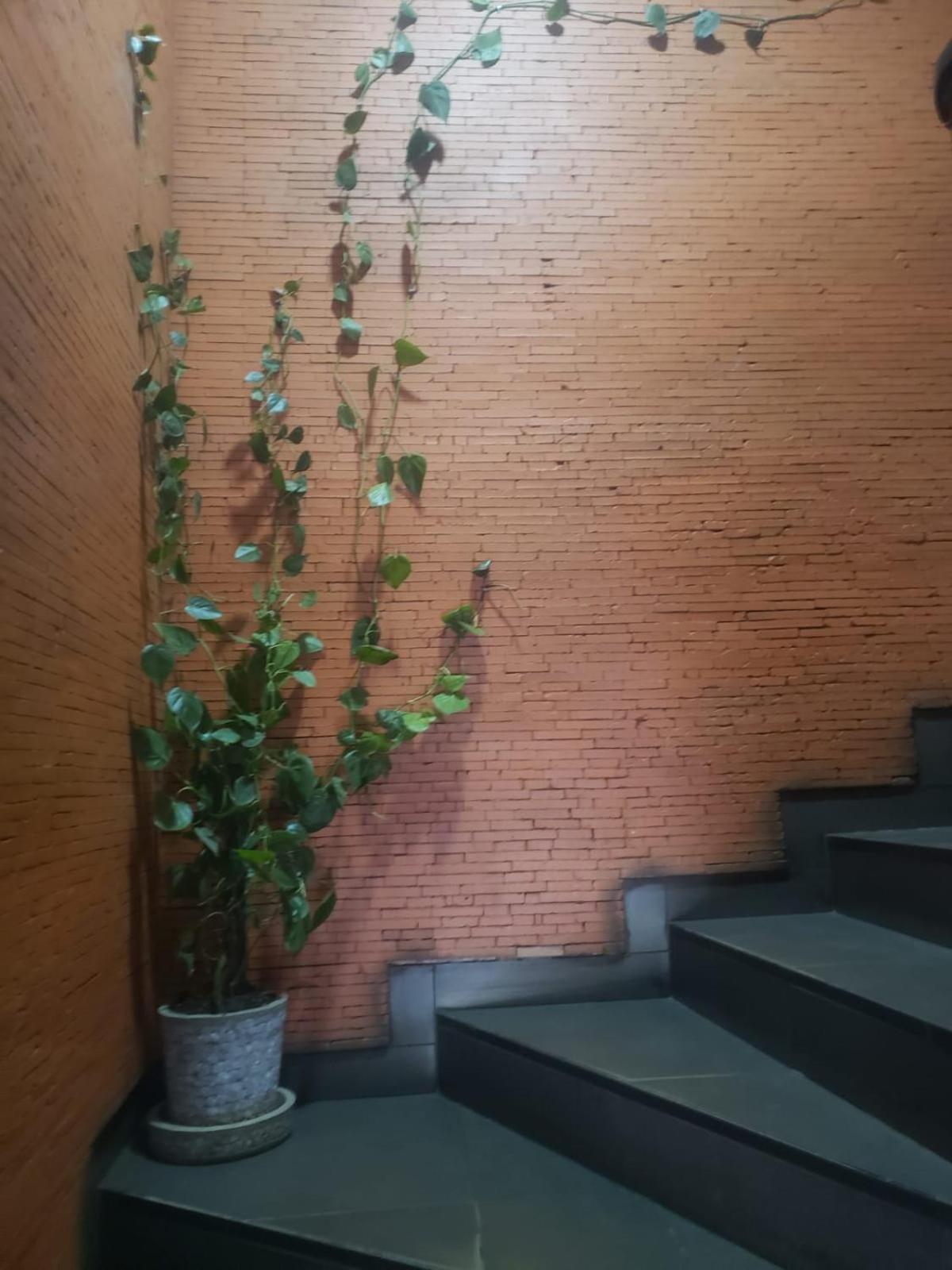 Sole Hotel Antananarivo Eksteriør billede